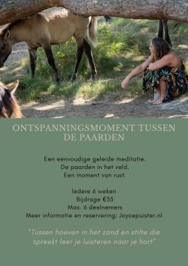 Ontspanning tussen paarden