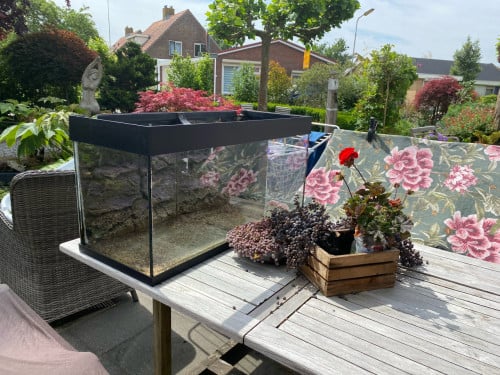 Gratis lege aquarium bak(100x 50x40)voor het maken van een terrarium