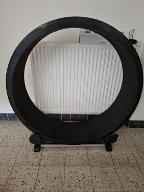 Looprad loopwiel voor katten