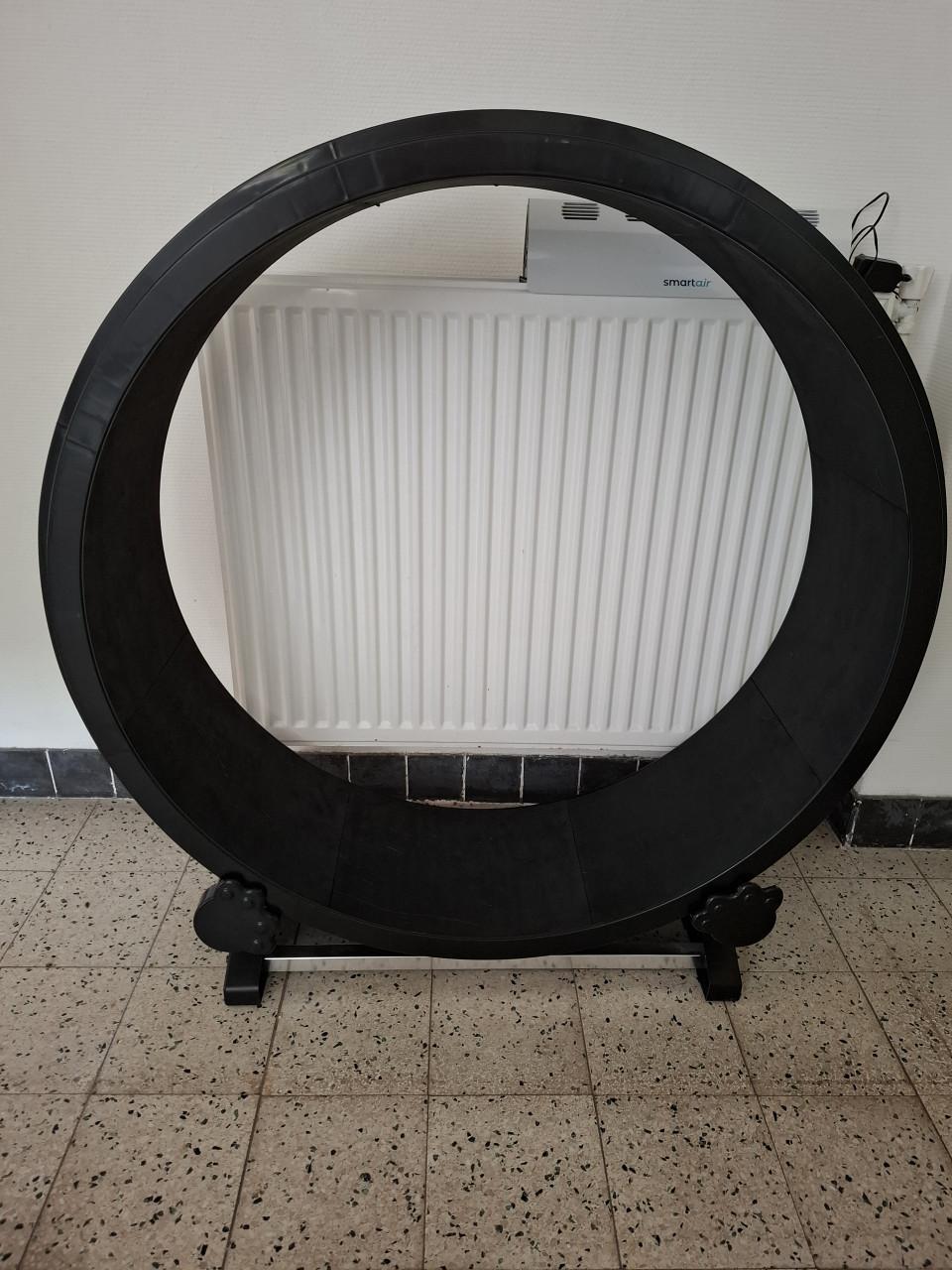 Looprad loopwiel voor katten