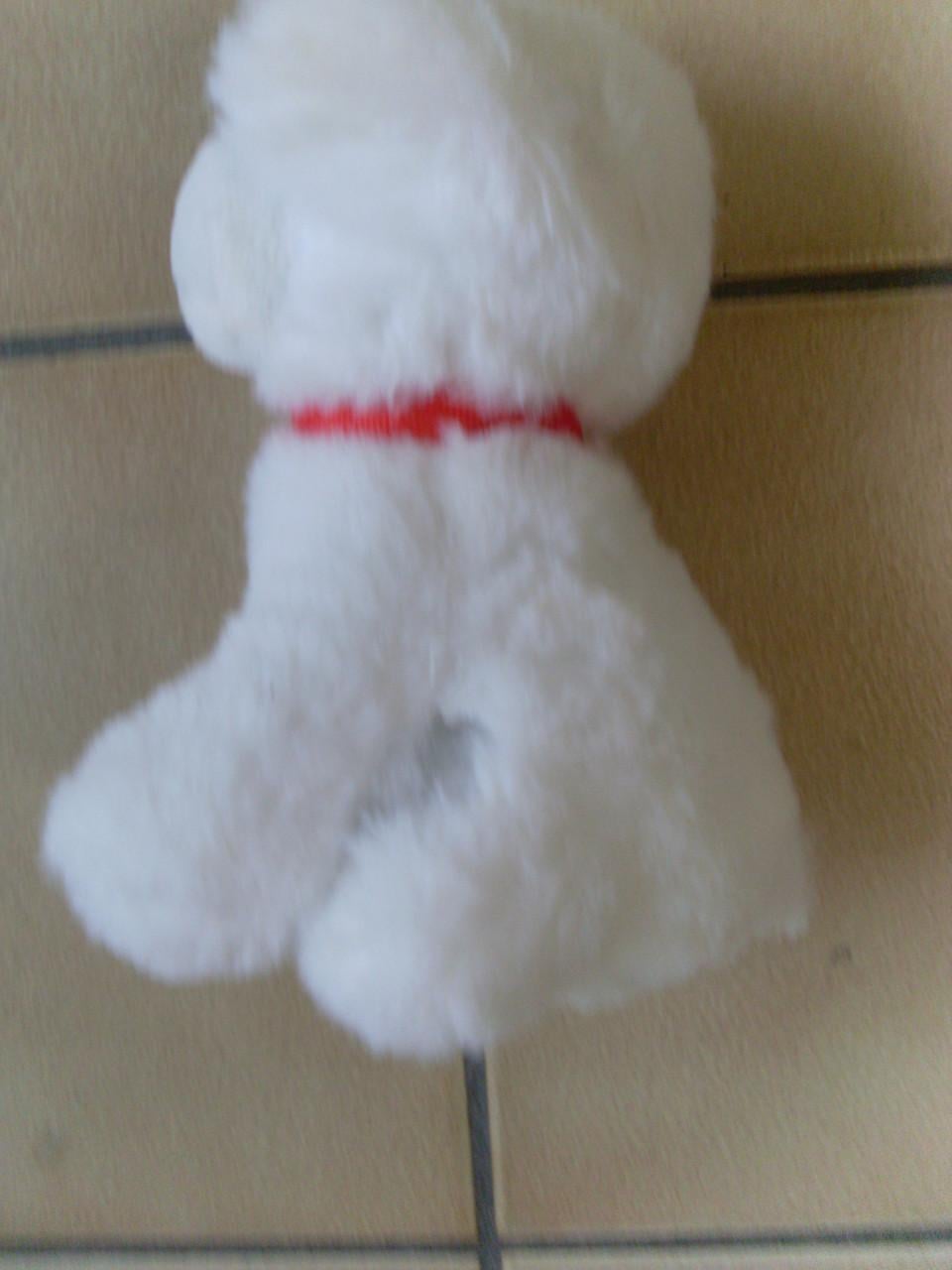 Knuffel hond