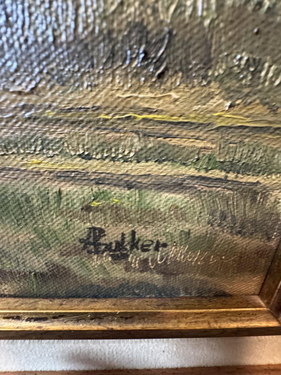 Schilderij waterlandschap inclusief lijst te koop