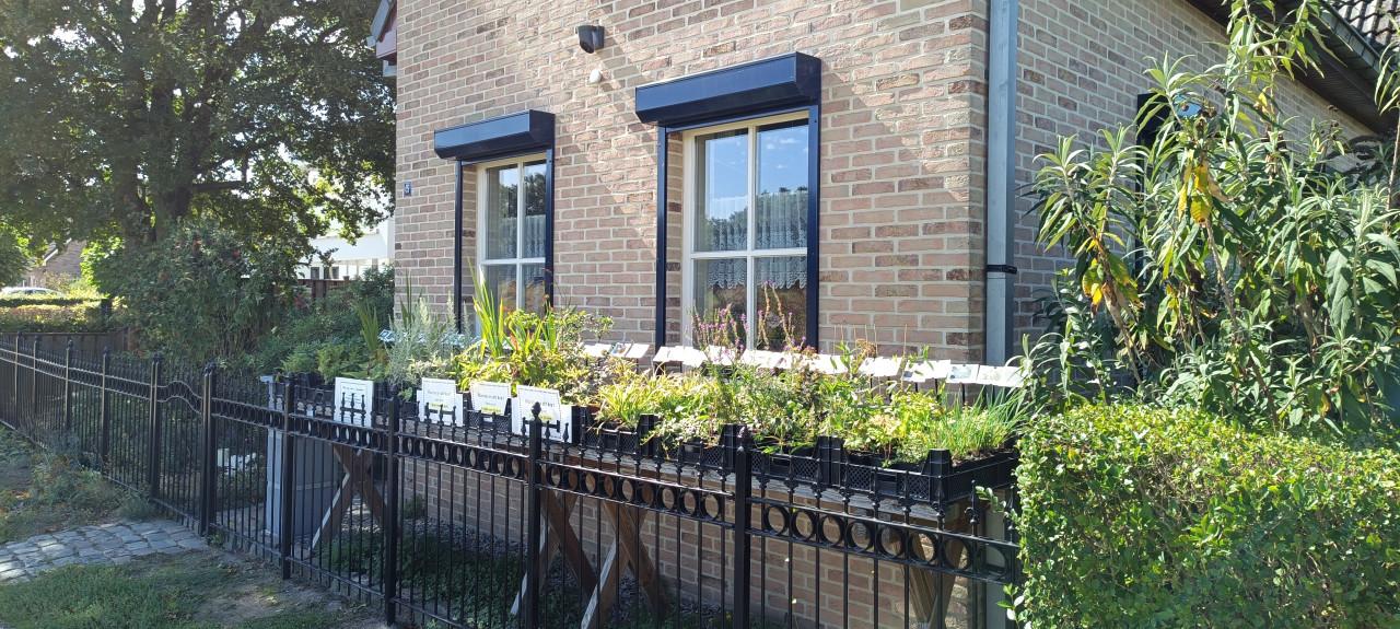 Bezoek ons plantenkraampje voor mooie, gezonde en voordelige tuinplanten.