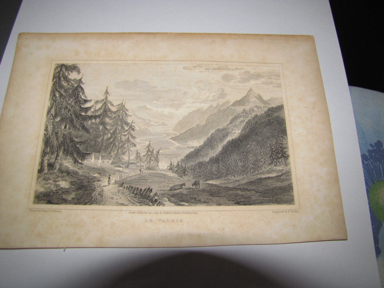 GRAVURES VAN SCHOTLAND