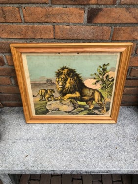 Vintage school plaat met twee leeuwen.