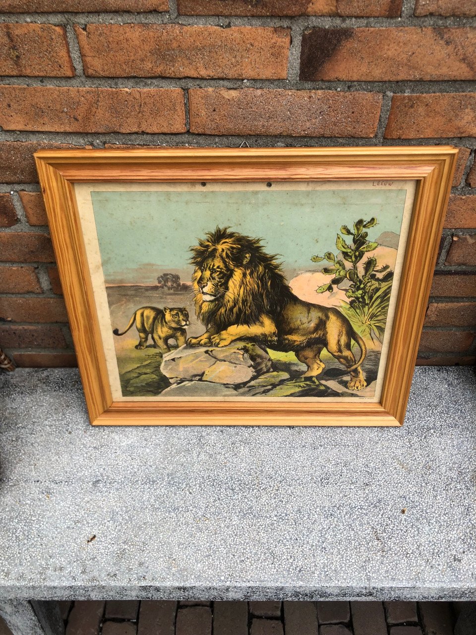 Vintage school plaat met twee leeuwen.