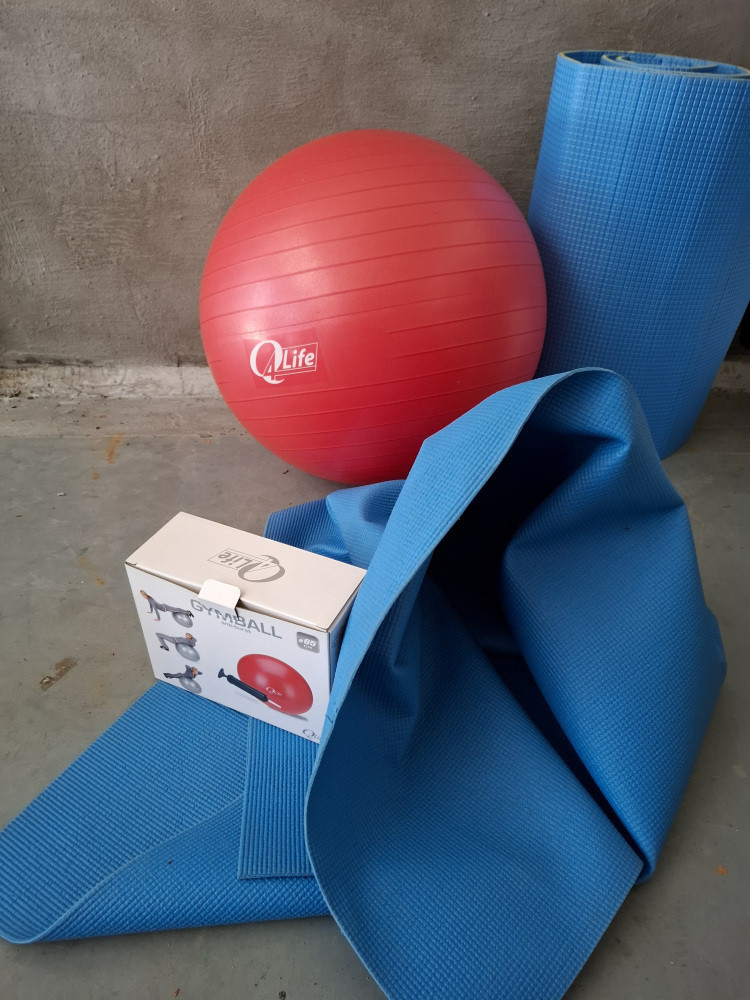 Fitness bal