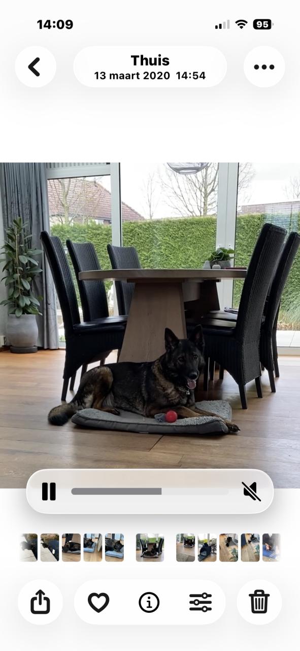 Eetkamerstoelen