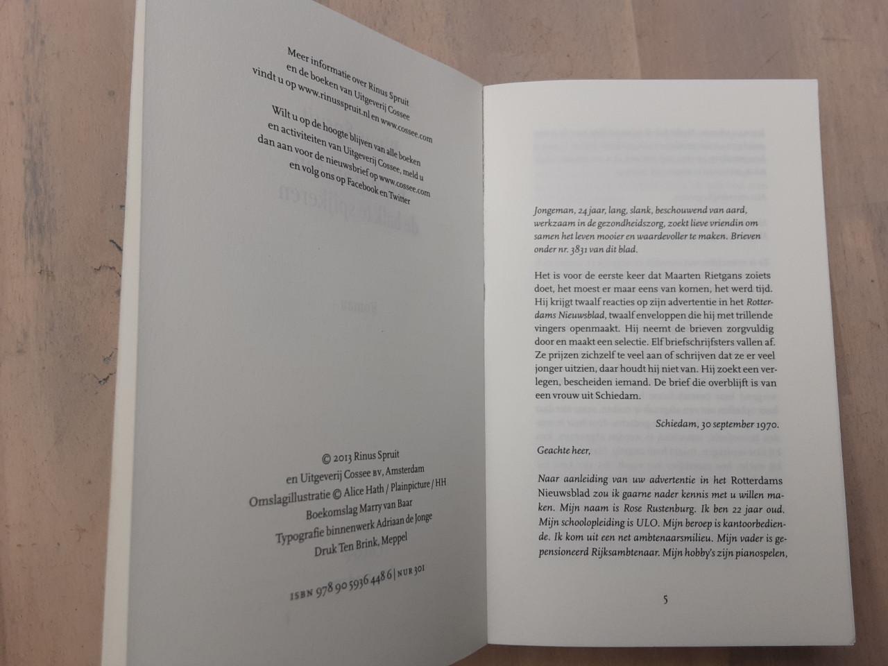 Rinus Spruit - Een dag om aan de balk te spijkeren