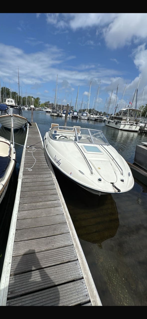 Bayliner 602 capri cuddy + Geremde RIBA dubbelasser