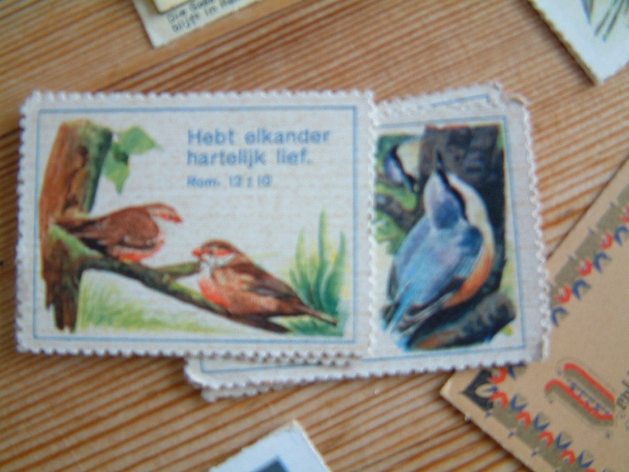 Veel  oudere  soort van bid prentjes