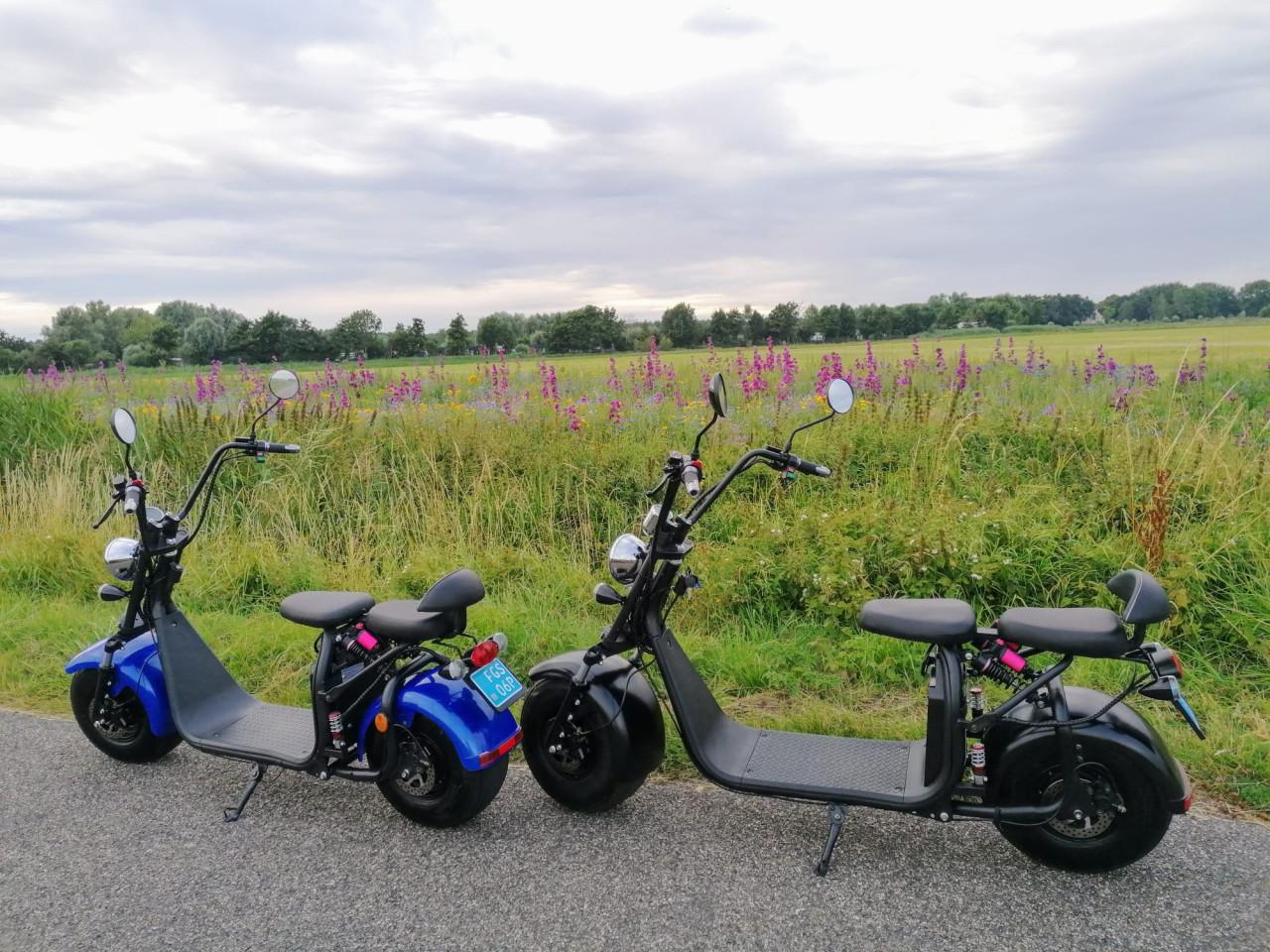 Twee mooie E-choppers per stuk 699 euro twee voor 1250 euro
