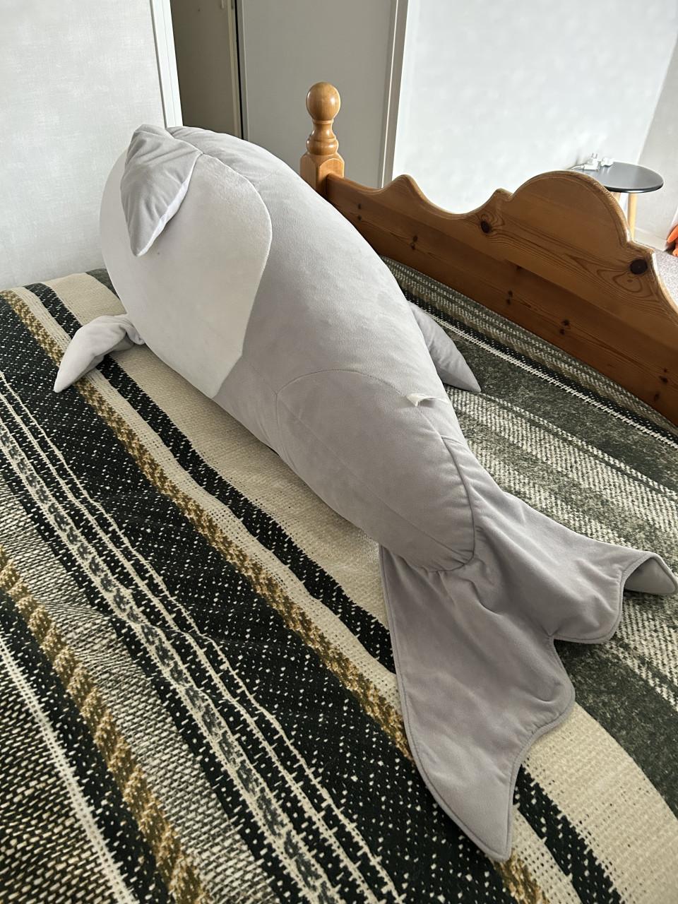 Super grote DOLFIJN knuffel.