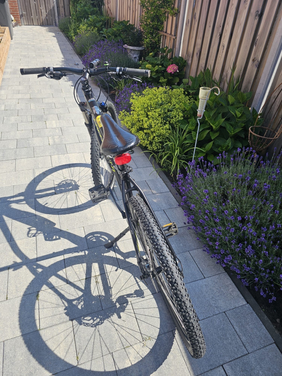 MTB  Specialized