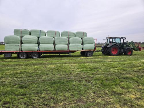 Wikkelbalen voordroog hooi