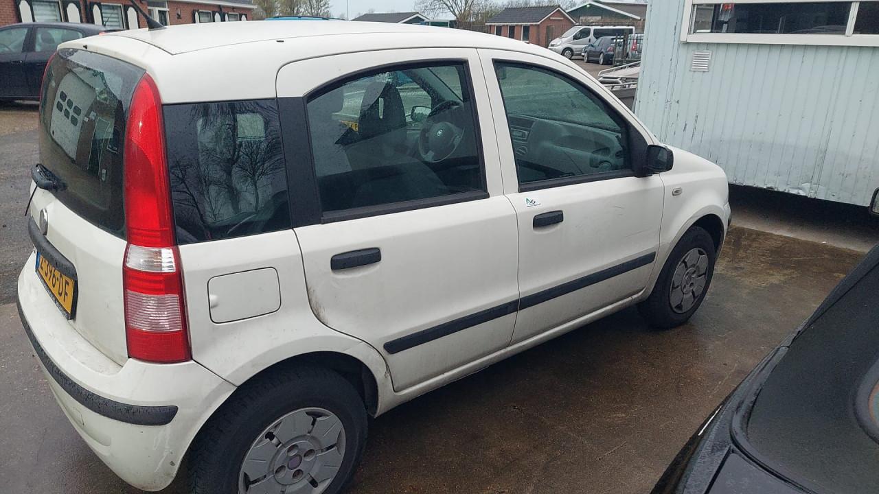 Fiat panda