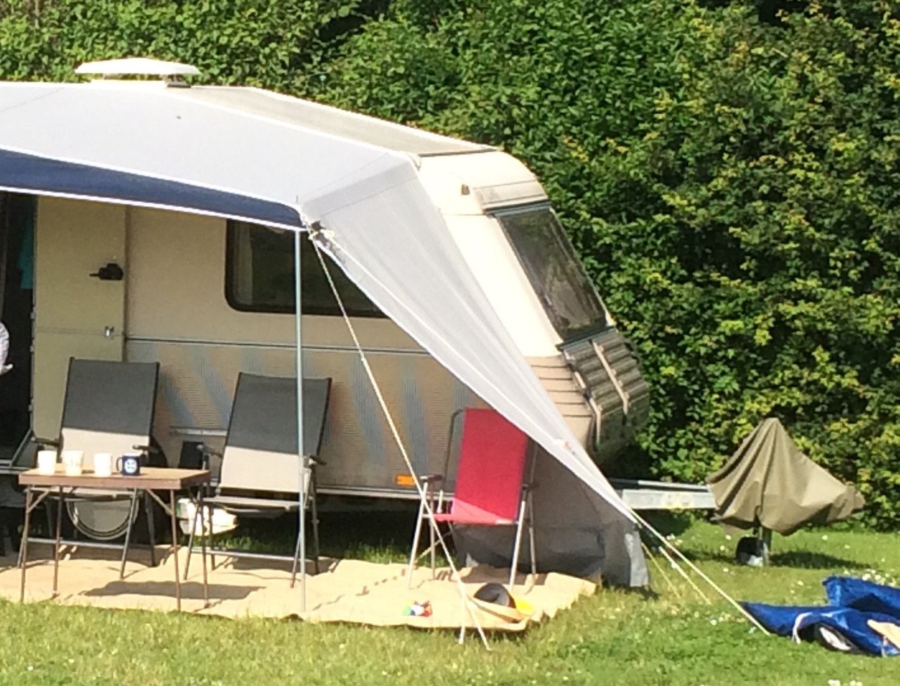 Kip touring 40 met mover en accessoires