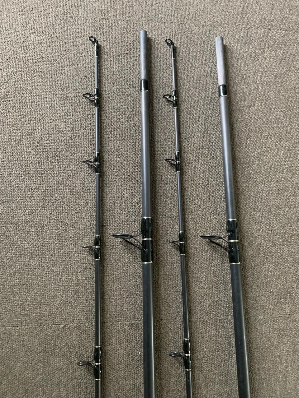 Complete meerval visset