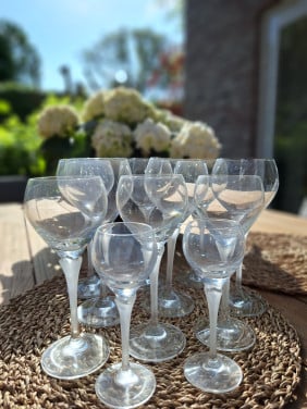 Schott Zwiesel wijnglazen Menuett, rood, wit