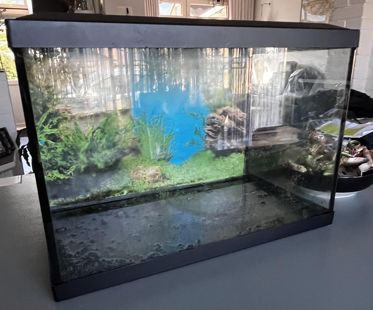 Aquarium