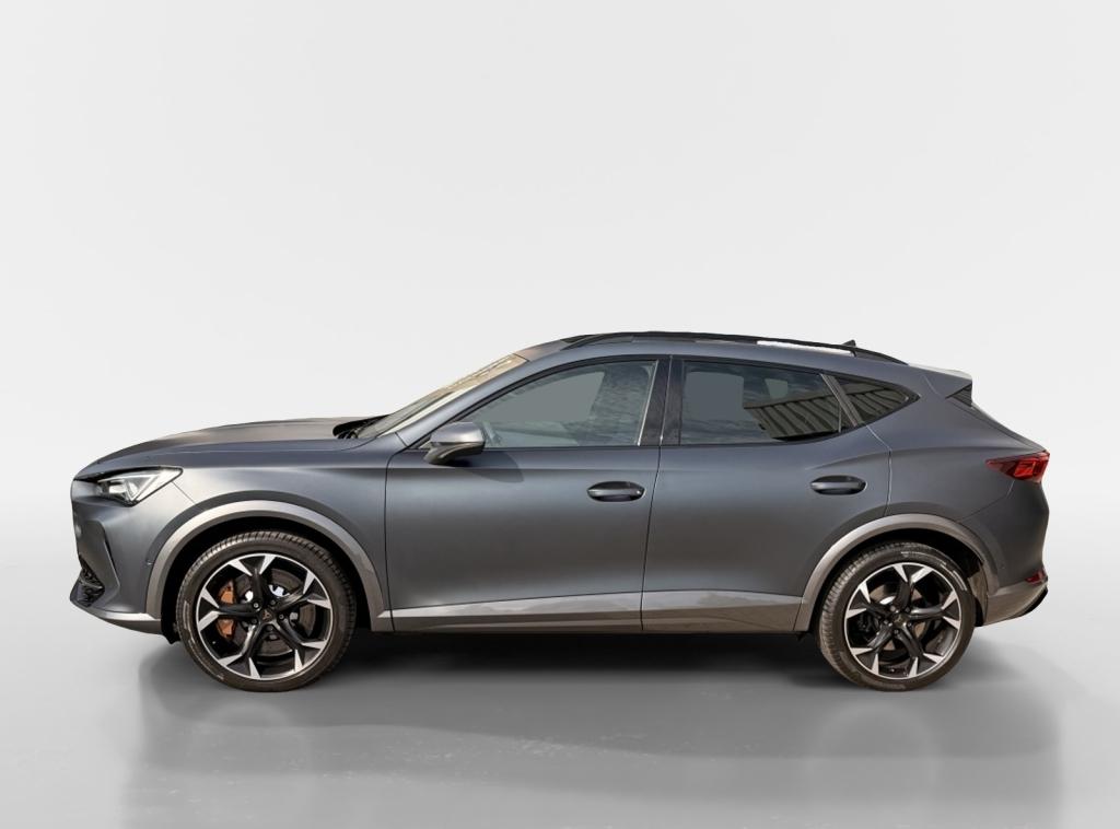 Cupra Formentor 2.0 tsi 4drive 418pk | full options | stage 1 & dsg stage 2