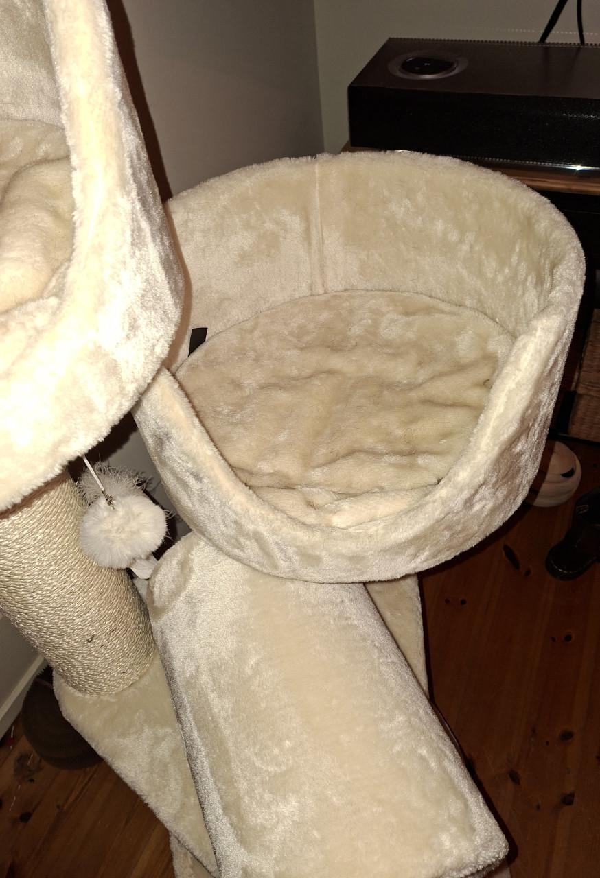 PETREBELS KRABPAAL VICTORIA 125