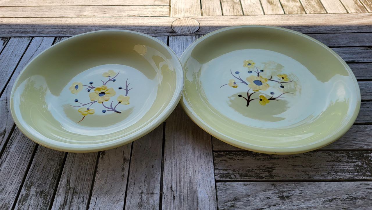 Set van 2 vintage Franse schalen Salins servies Catherine