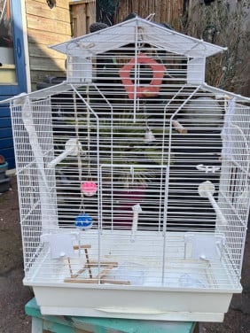 Vogelkooi gratis