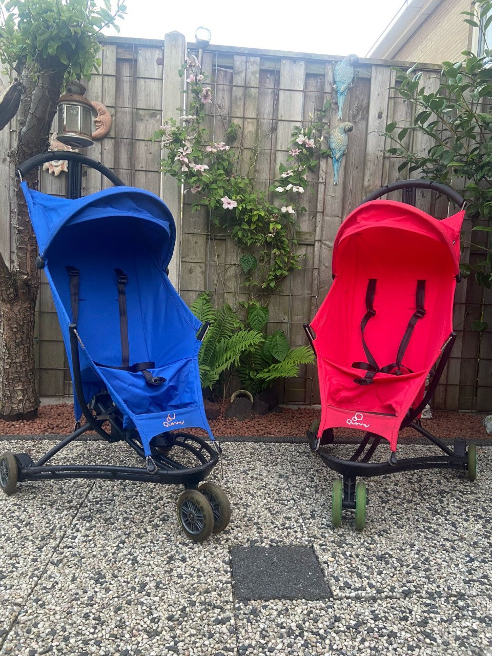 Te koop buggy