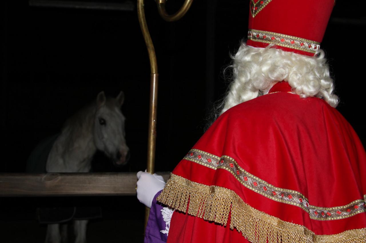 Sinterklaas bezoek