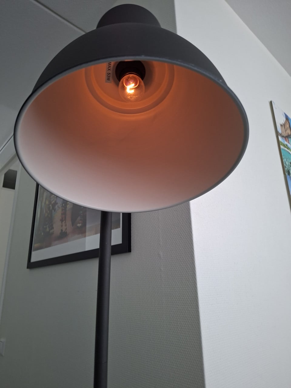Stalampen met dimmer 2x industrial