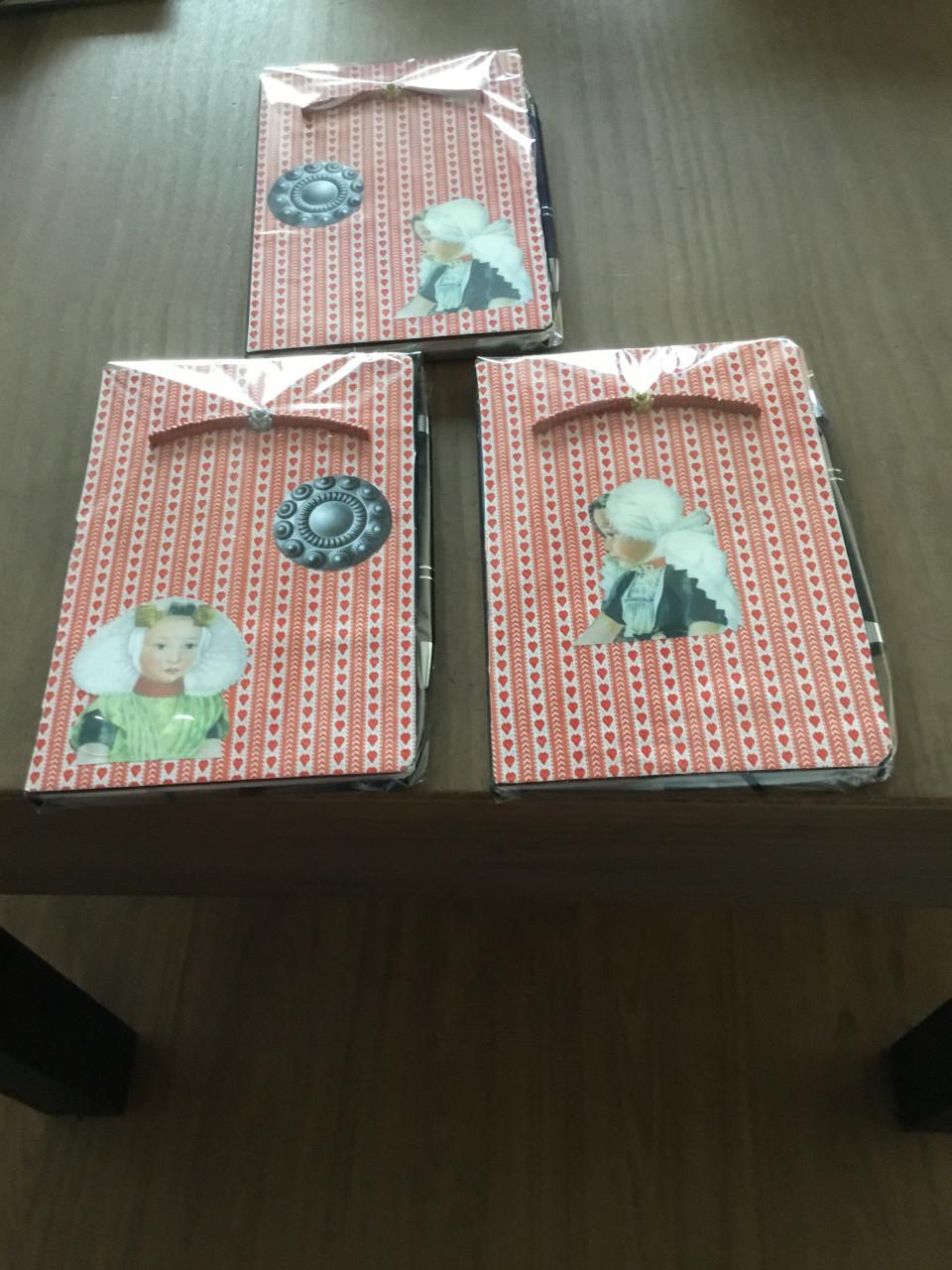 Notitieboekjes met pen