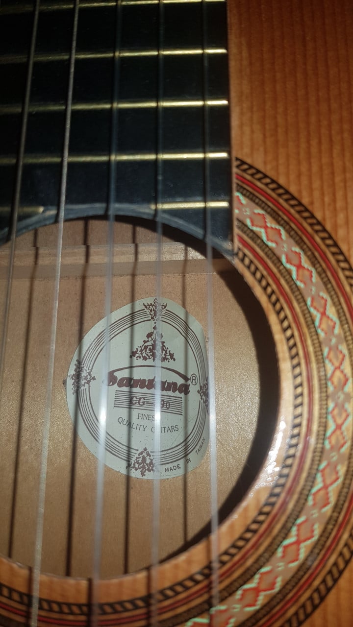 Gitaar met hoes