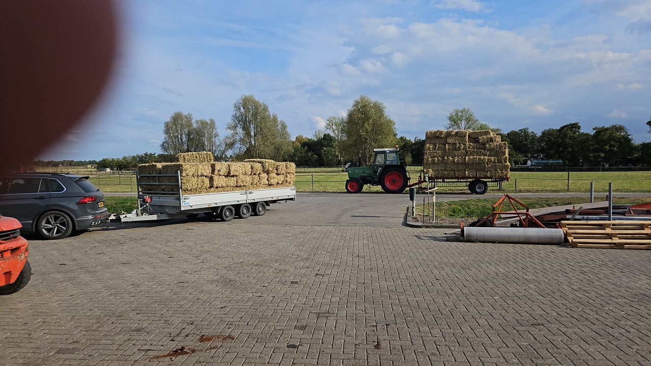 Bonenstro kleine pakjes