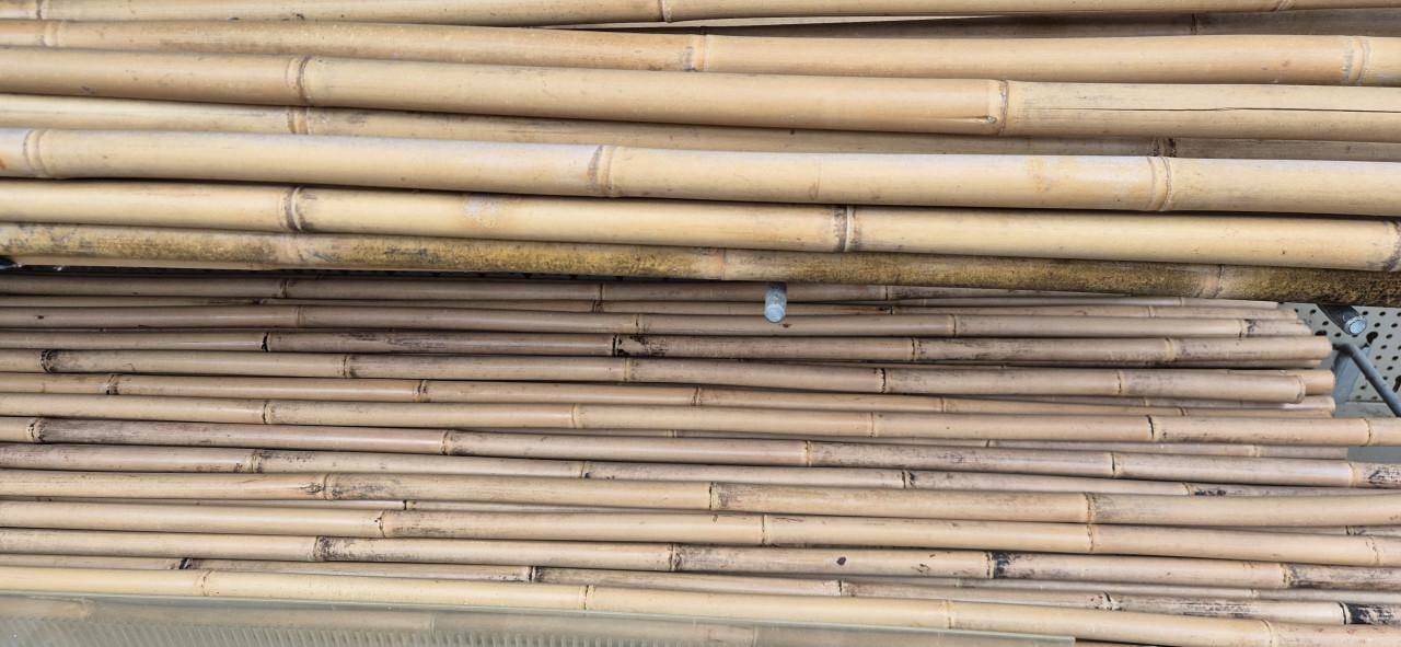 Bamboestokken A-kwaliteit