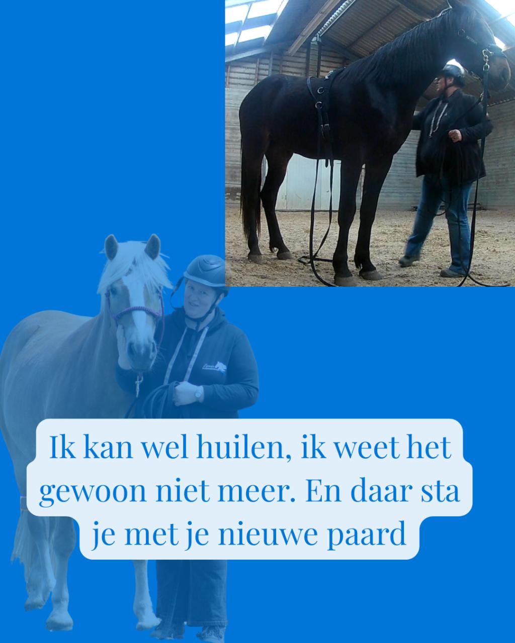 Hulp voor je paard of voor jou.....ik kijk naar jullie samen