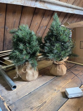 Kleine kerstboompjes