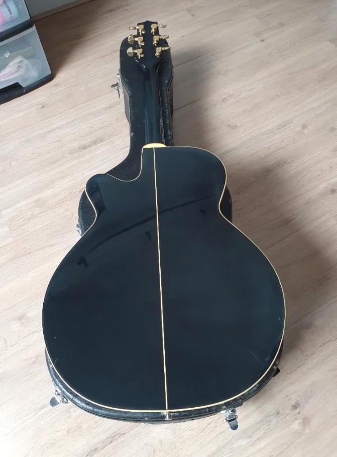 Takamine (semi) akoestische gitaar