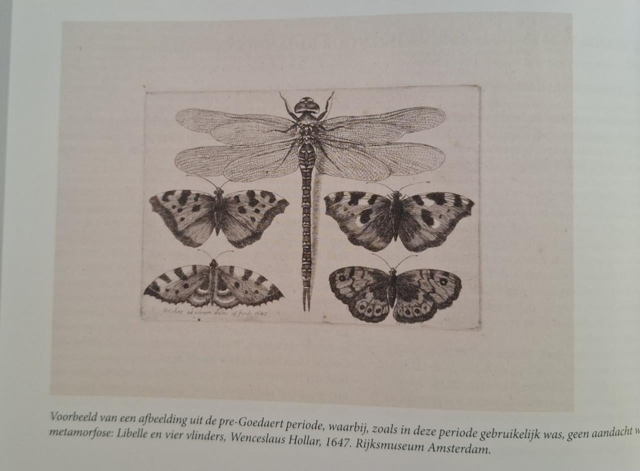 Johannes Goedaert, fijnschilder en entomoloog. Door Kees Beaart e,a,