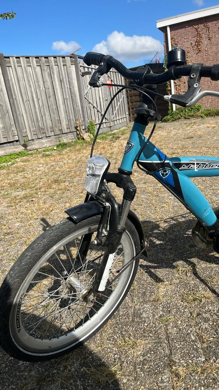 Alpina Yabber 20 inch