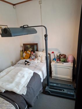PHILIPS   HOME SOLARIA