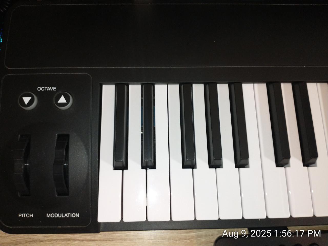 Midi Plus Ak490 (49 aanslaggevoelige toetsen)
