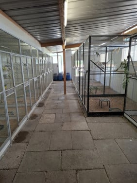 Allerlei vogels gezocht.......