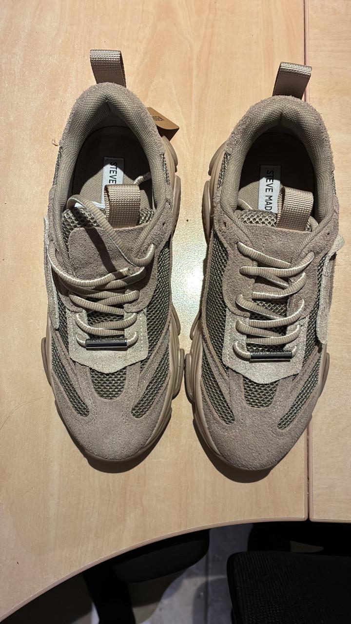 Sneakers Steve Madden