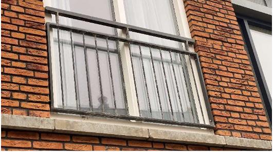 Alle soorten Sier - Hekwerken.