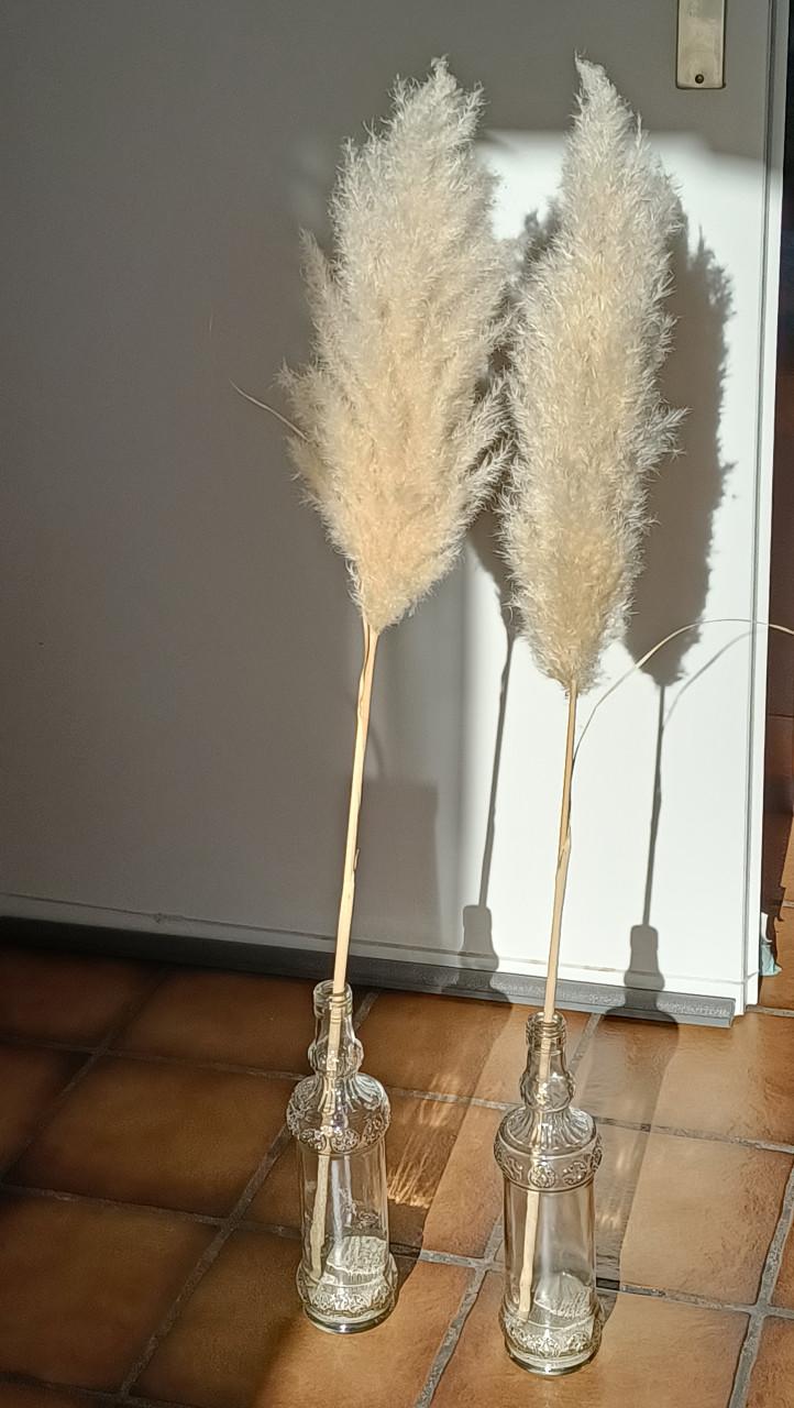 2x Pampas pluim in mooie fles. Per fles € 3,-, beide voor € 5,-