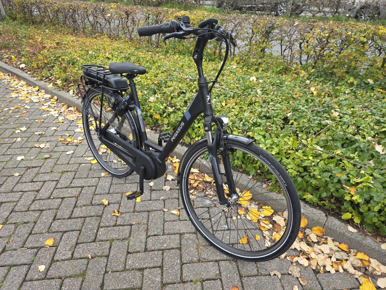 Schitterende Pegasus met Bosch middenmotor