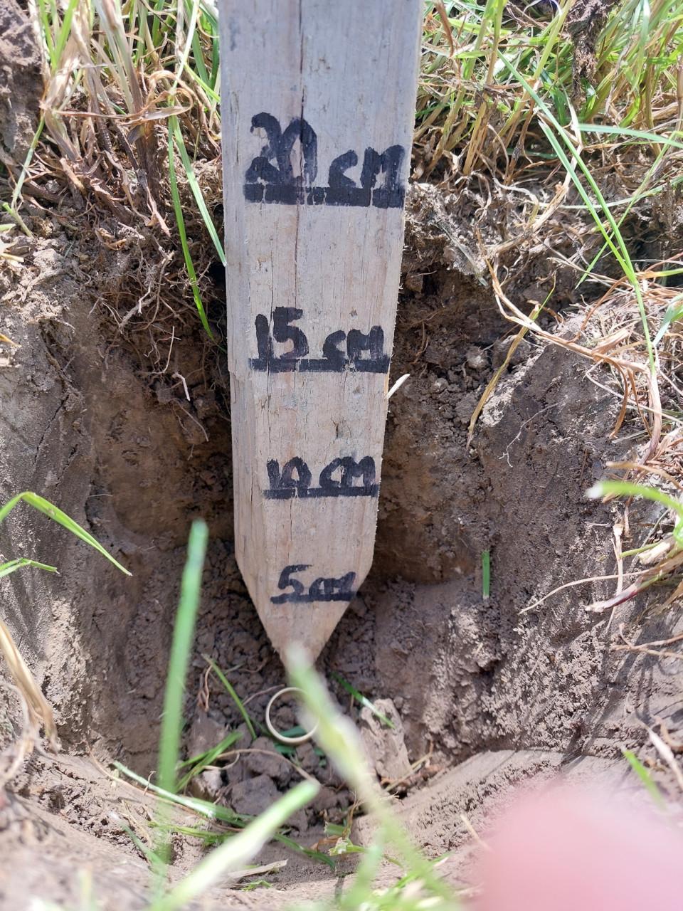 Cursusdagen metaaldetectie voor op land- en strandlocaties