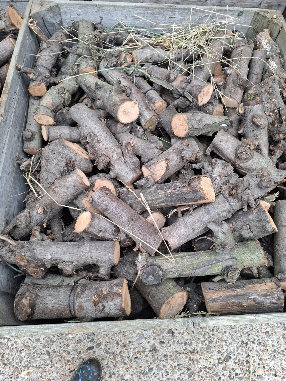 Droog openhaardhout appel