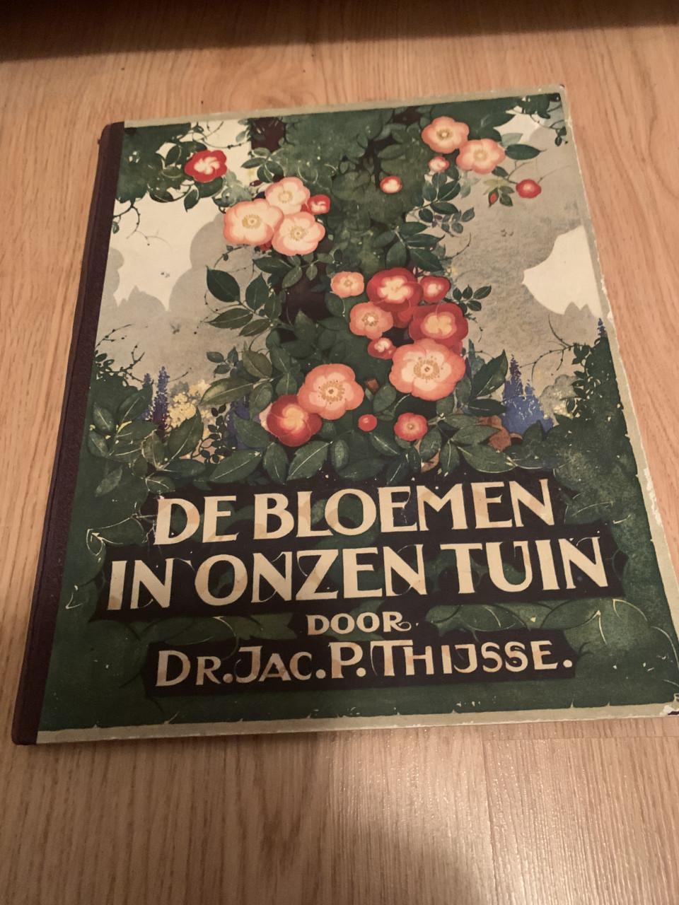 Verkade prentenalbums